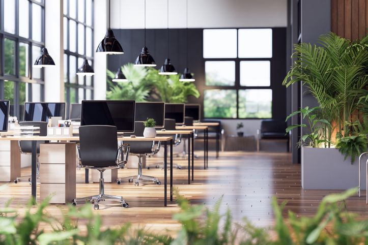 Modern industrial loft style office interior decorated with green nature 3d render. There are wooden floor and plank wall, large window overlooking nature view